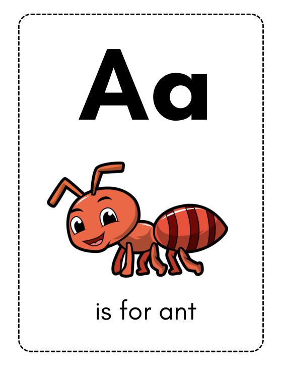 FLASH CARDS 01