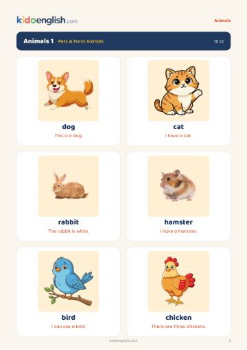 04_Animals