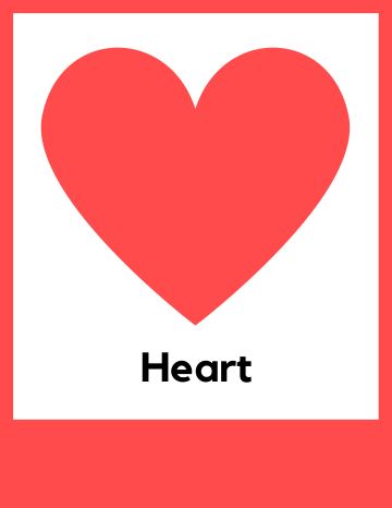 flashcard(1)