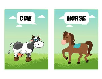 _Farm Animals