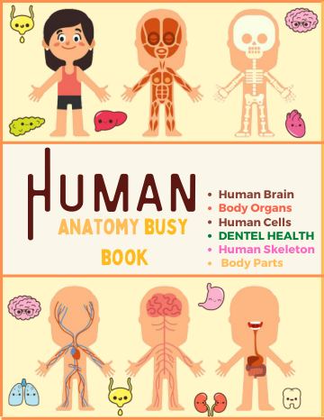 _HUMAN ANATOMY BUSY BOOK