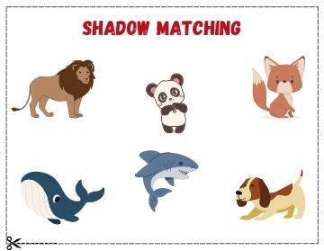 _shadow matching 