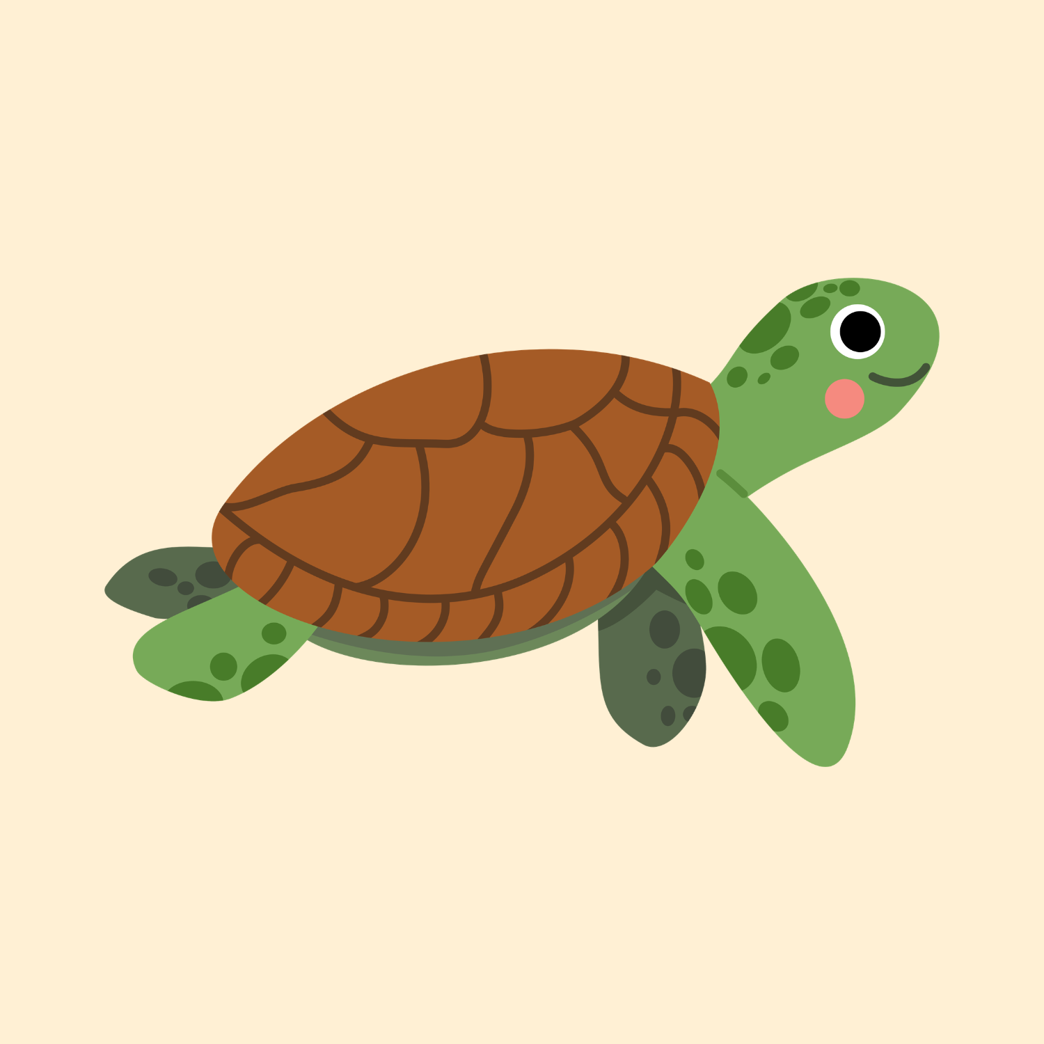 turtle
