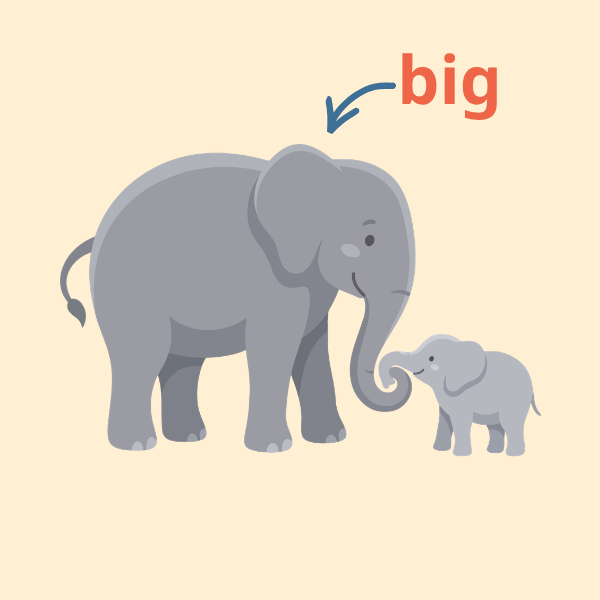 big