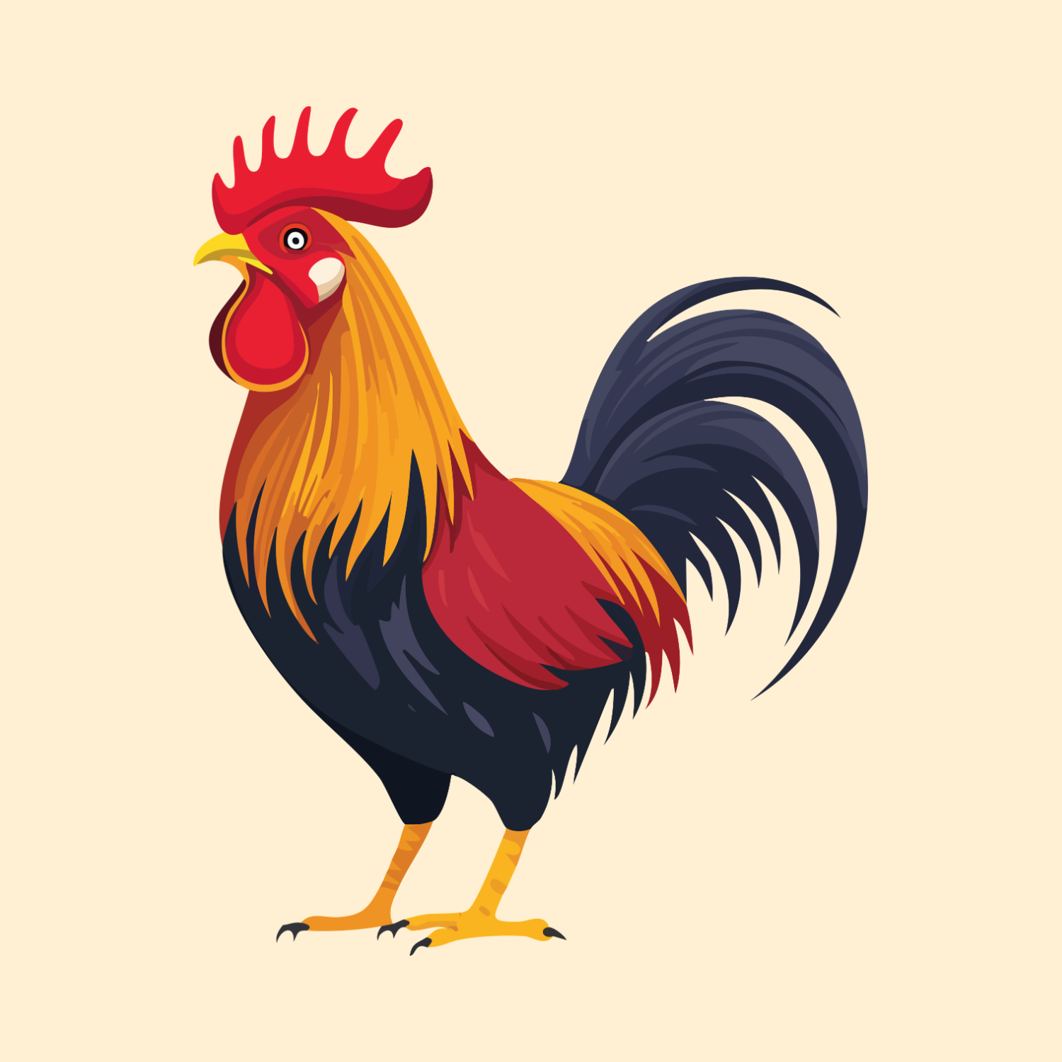 chicken