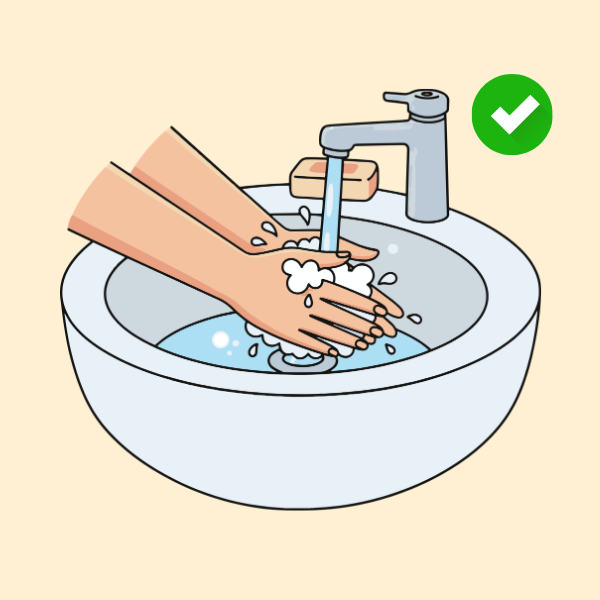 wash your hands
