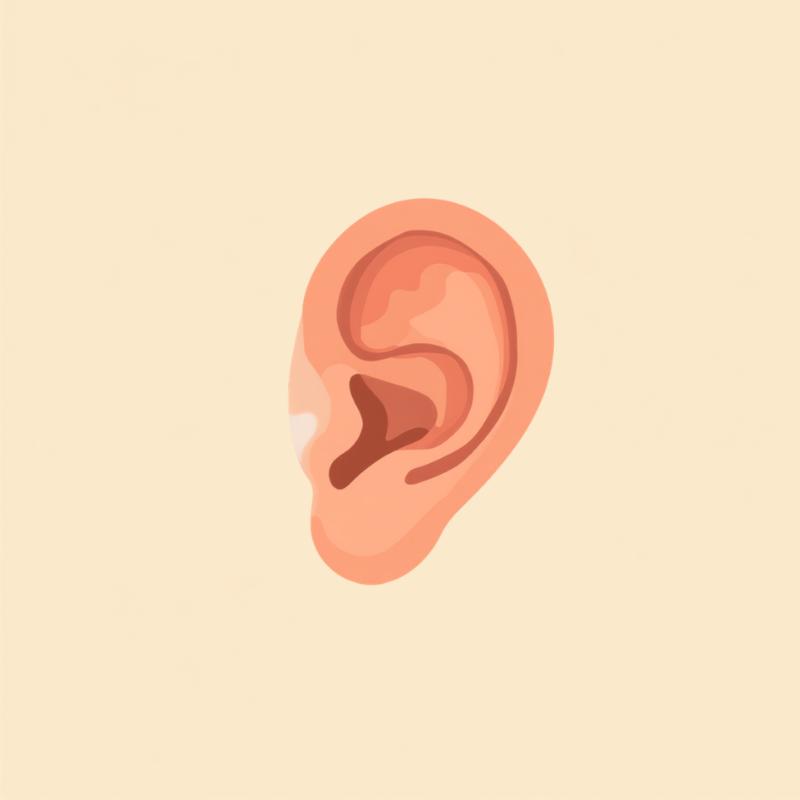 ear