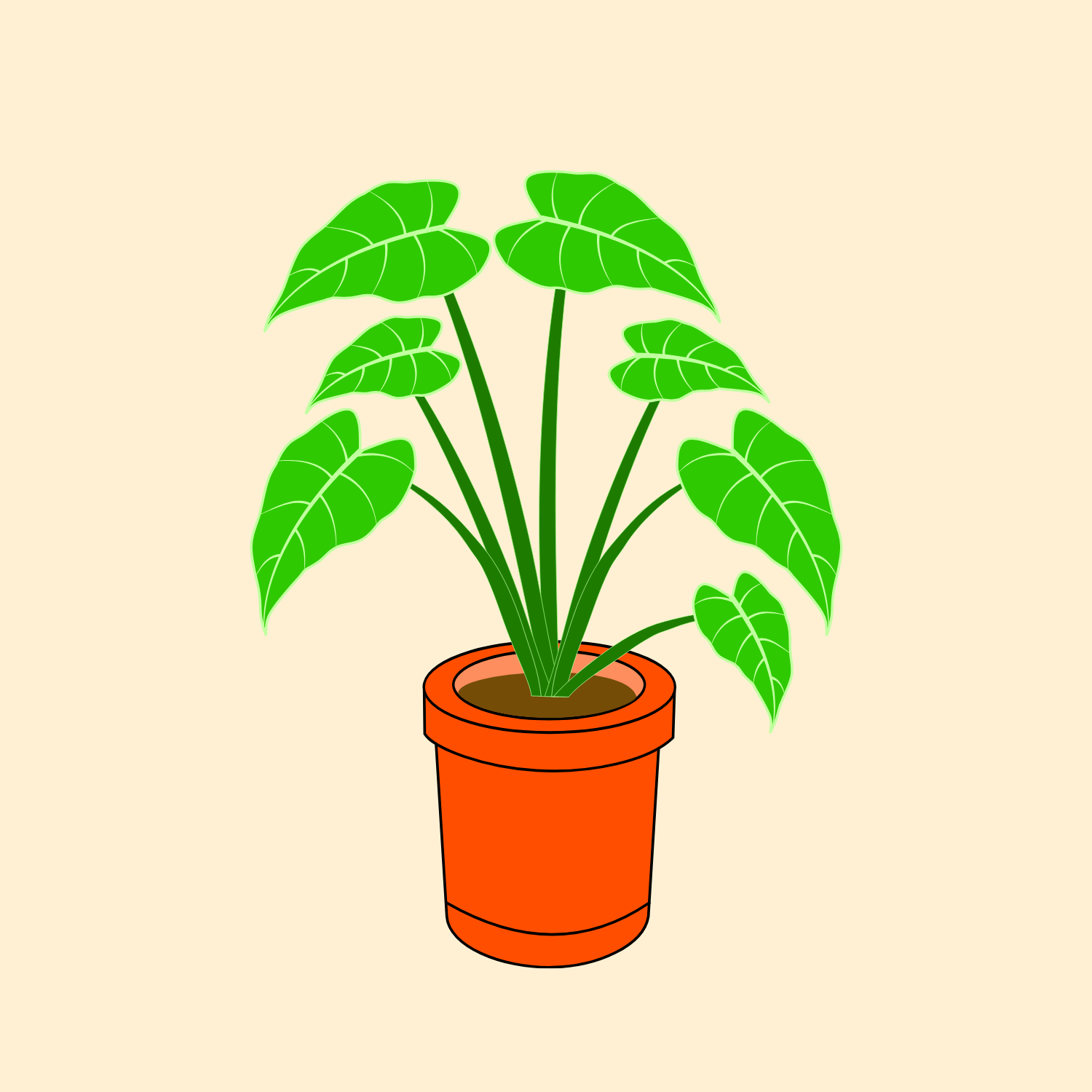plant