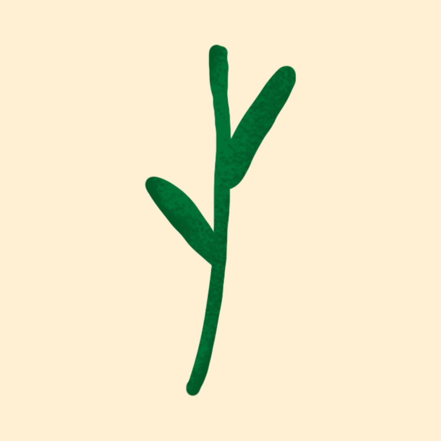 stem