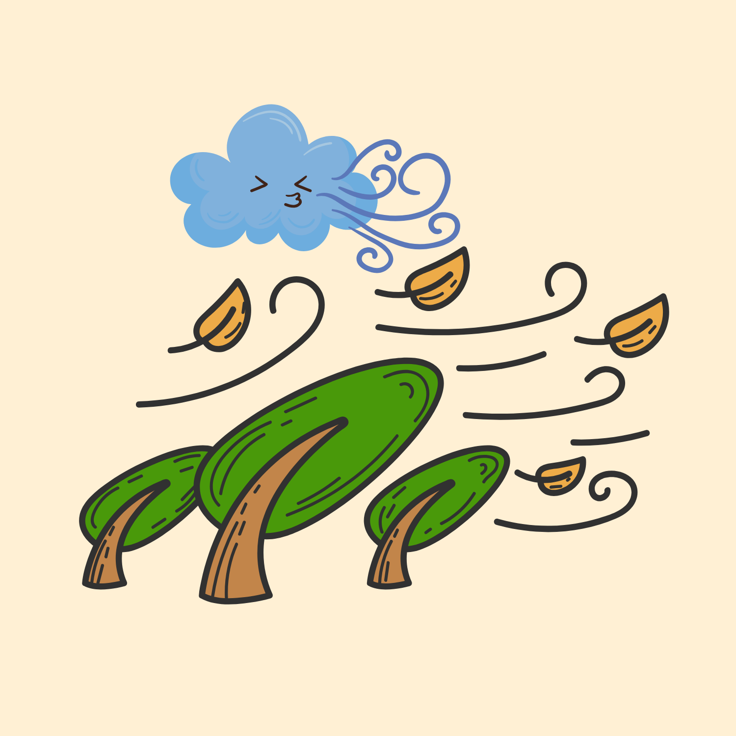 windy